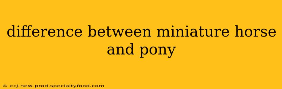 difference between miniature horse and pony
