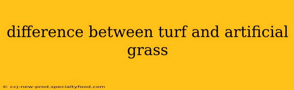 difference between turf and artificial grass