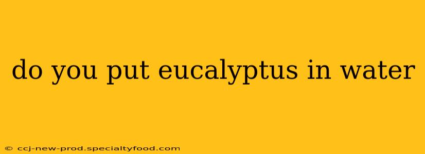 do you put eucalyptus in water