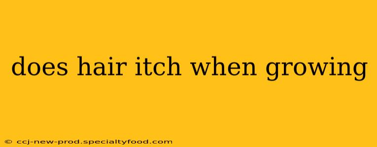 does hair itch when growing