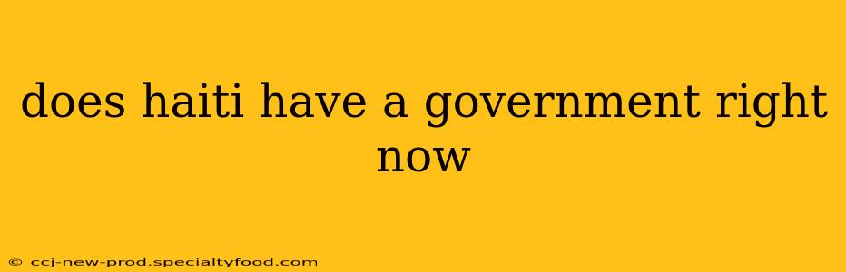 does haiti have a government right now