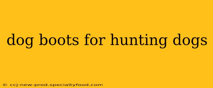 dog boots for hunting dogs