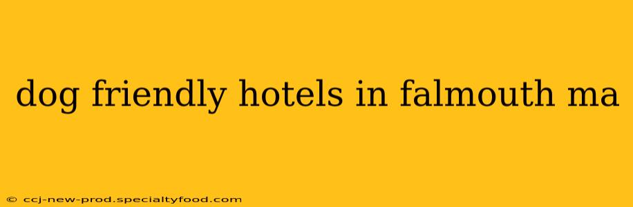 dog friendly hotels in falmouth ma