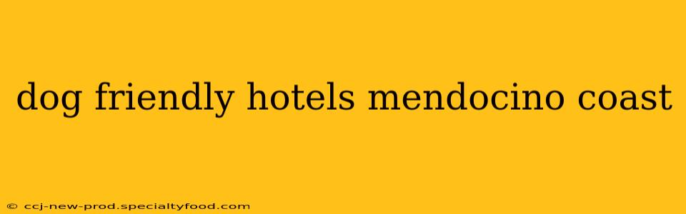 dog friendly hotels mendocino coast