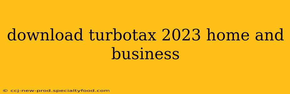download turbotax 2023 home and business