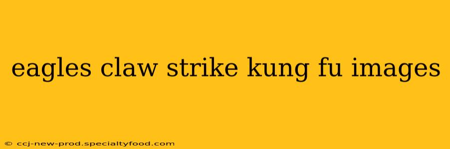 eagles claw strike kung fu images