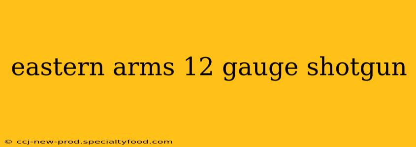 eastern arms 12 gauge shotgun
