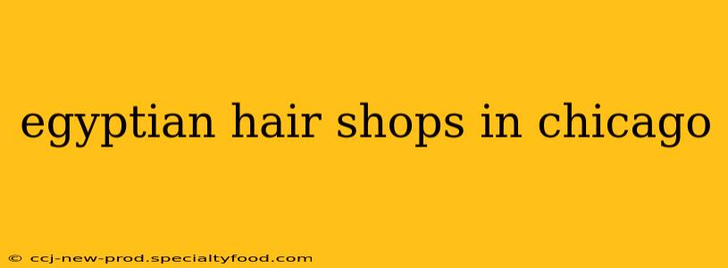 egyptian hair shops in chicago
