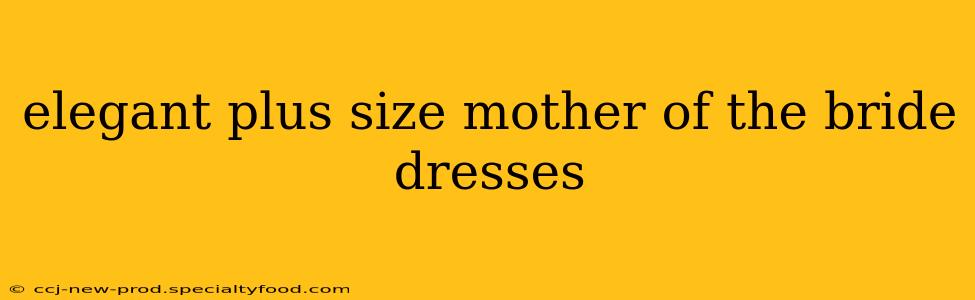 elegant plus size mother of the bride dresses