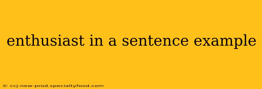 enthusiast in a sentence example