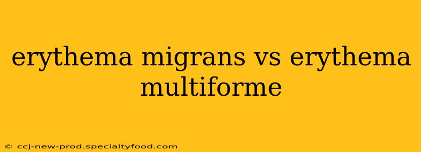 erythema migrans vs erythema multiforme