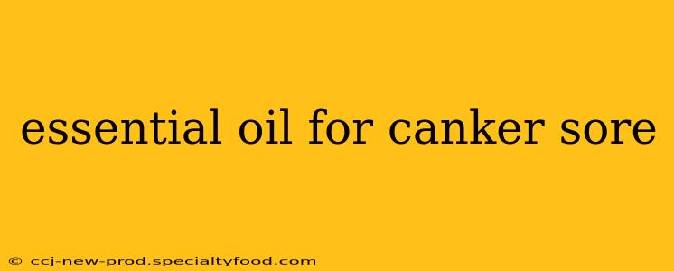 essential oil for canker sore