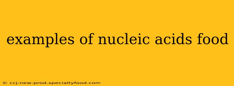 examples of nucleic acids food