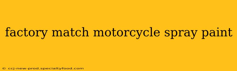 factory match motorcycle spray paint