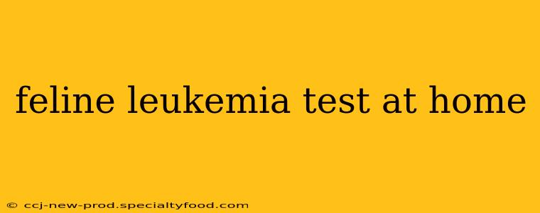 feline leukemia test at home