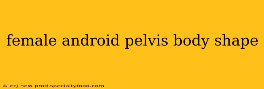 female android pelvis body shape