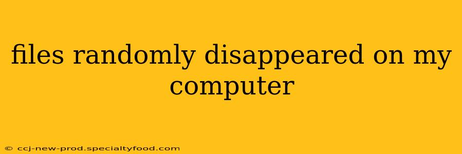 files randomly disappeared on my computer