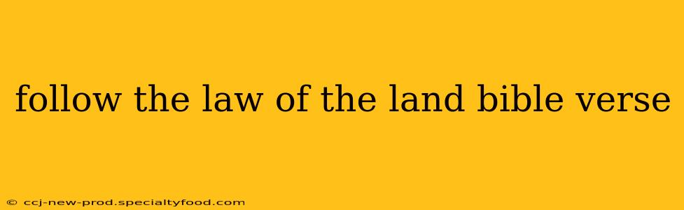 follow the law of the land bible verse