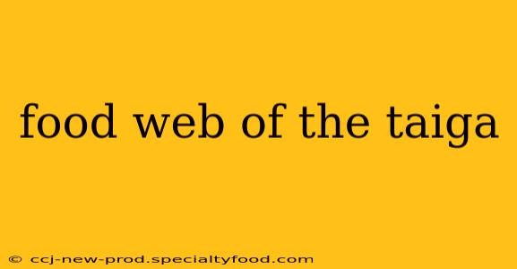 food web of the taiga