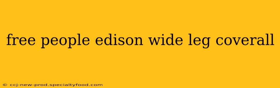 free people edison wide leg coverall
