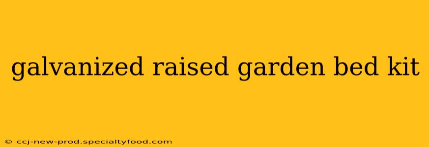 galvanized raised garden bed kit