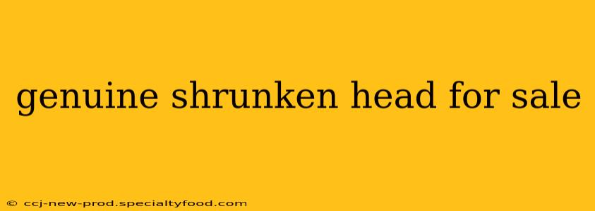 genuine shrunken head for sale genuine shrunken head for sale