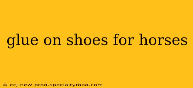 glue on shoes for horses