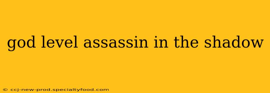 god level assassin in the shadow