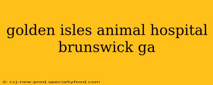 golden isles animal hospital brunswick ga