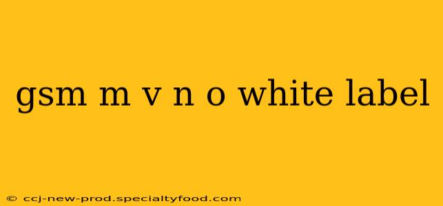 gsm m v n o white label