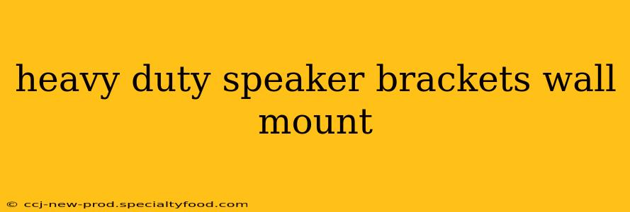heavy duty speaker brackets wall mount