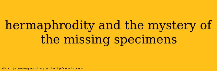 hermaphrodity and the mystery of the missing specimens