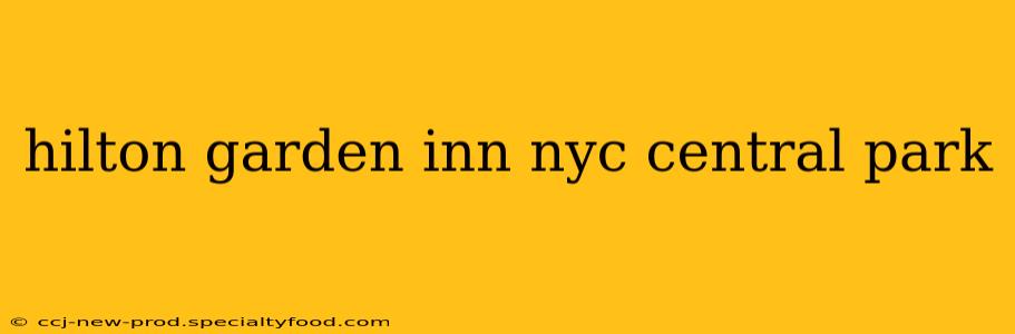 hilton garden inn nyc central park