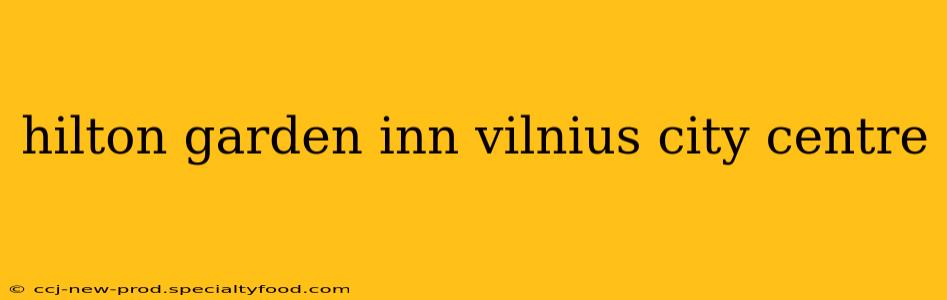 hilton garden inn vilnius city centre