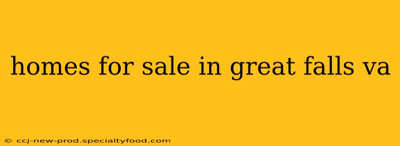 homes for sale in great falls va