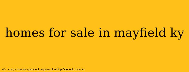 homes for sale in mayfield ky