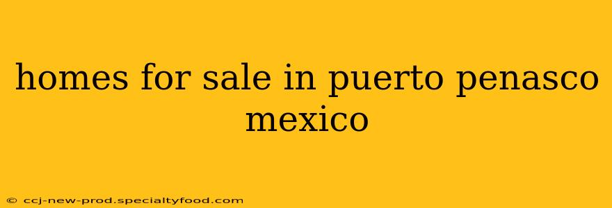 homes for sale in puerto penasco mexico