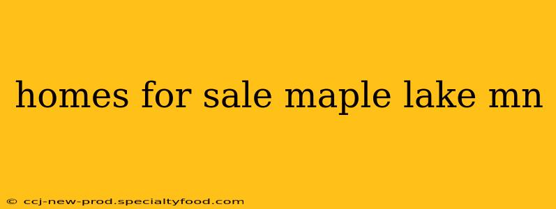 homes for sale maple lake mn
