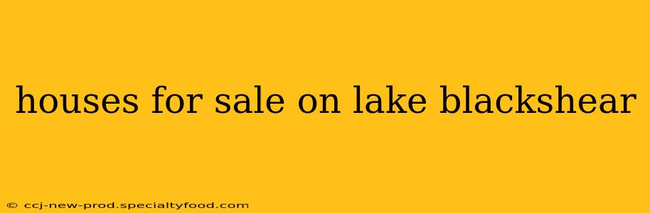 houses for sale on lake blackshear