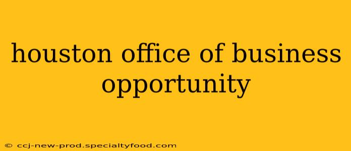 houston office of business opportunity