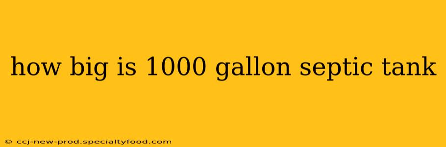 how big is 1000 gallon septic tank