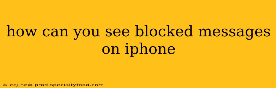 how can you see blocked messages on iphone