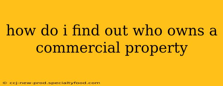 how do i find out who owns a commercial property