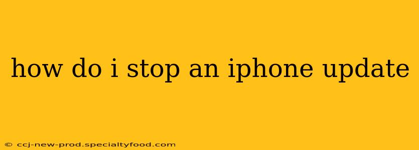 how do i stop an iphone update