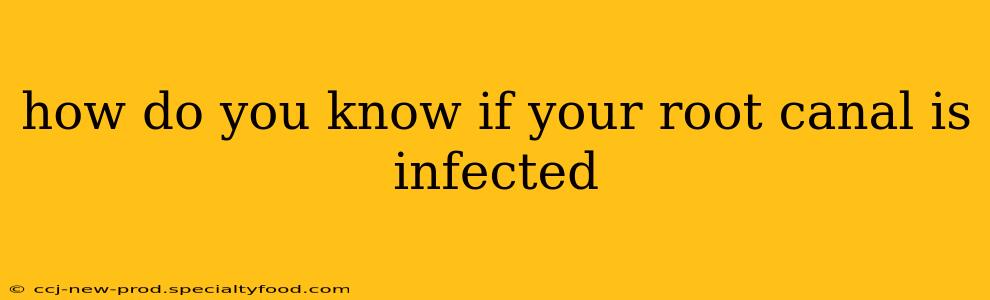 how do you know if your root canal is infected
