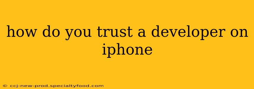 how do you trust a developer on iphone