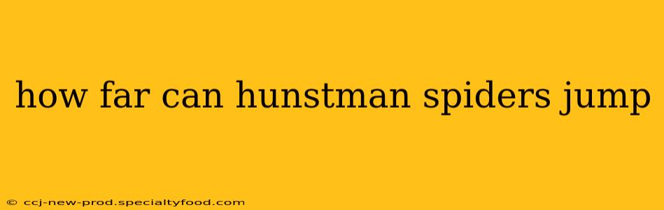 how far can hunstman spiders jump