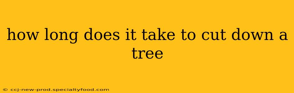 how long does it take to cut down a tree