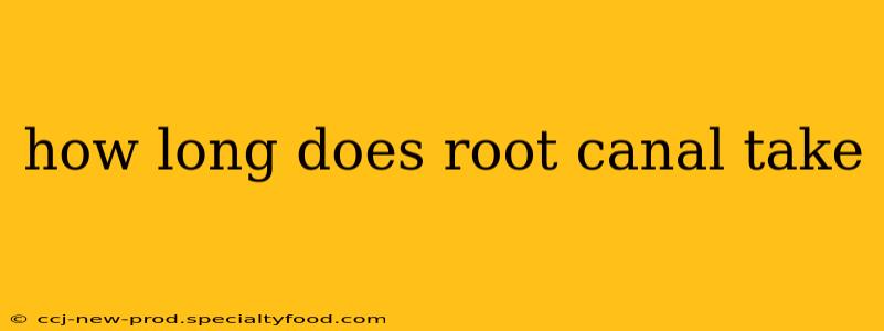 how long does root canal take