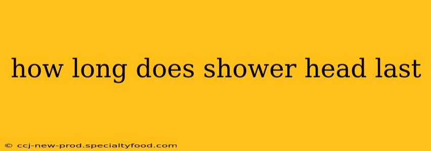 how long does shower head last